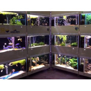 Магазины аквариумов