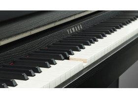 Виды струнно-клавишных инструментов