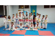 Спортивное объединение Школа Taekwondo Wt Tastaq - все контакты на портале kreativkz.su