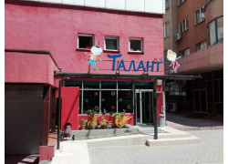 Талант виль